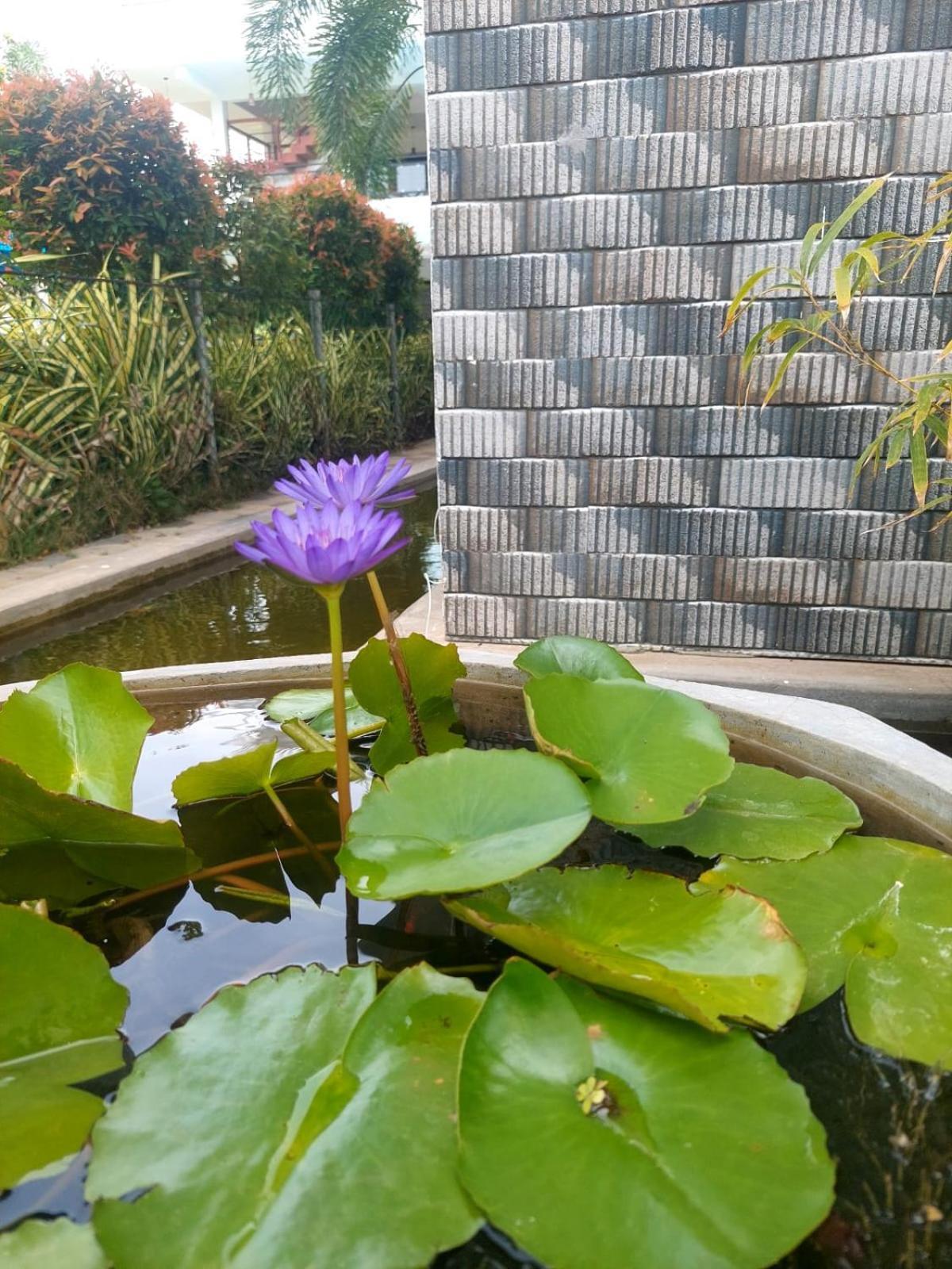 J7 Villaj Resort Trincomalee Kültér fotó